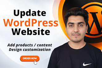 edit wordpress website, customization and update website