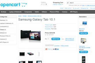 upload 30 products with details and descriptions on opencart