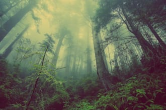 provide relaxing nature sounds for commercial use