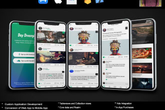develop and design ios application using swiftui or uikit