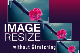 professionally resize photo or crop in your custom size