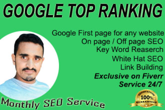 deliver a monthly SEO service for google top ranking