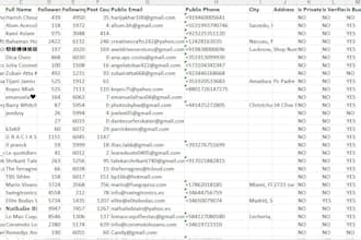 extract instagram followers usernames, full name, e mails