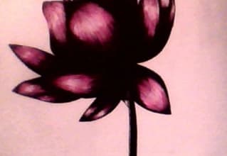 draw a flower