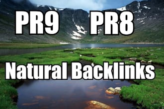 build 350 Natural backlinks with no footprints high pr dofollow from forum and web20 property plus deliver report and post to linklicious
