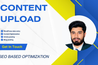 professionally upload and optimize content or blogs on your website