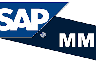 provide you expert level consultation and training in sap mm
