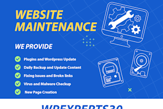 provide website maintenance, daily, weekly, monthly updates