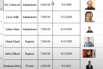 insert 500 pictures into cells in excel or google sheets