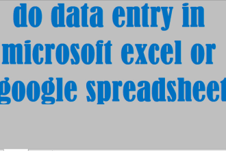 do data entry in microsoft excel or google spreadsheet