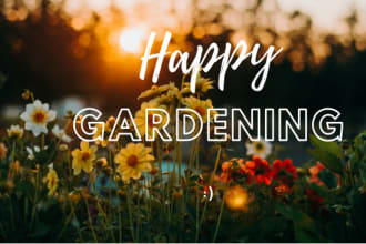write articles and blogs on kitchen gardening and indoor plants