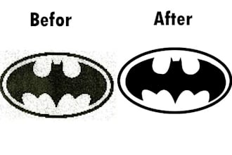 do professional vector tracing