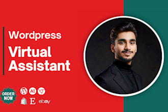be your wordpress virtual assistant VA