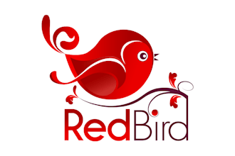 create professional modern minimalist business logo design