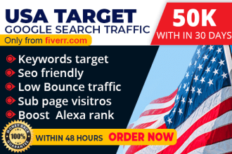 drive USA niche target website traffic,real visitors