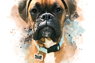 design pet portrait in different styles