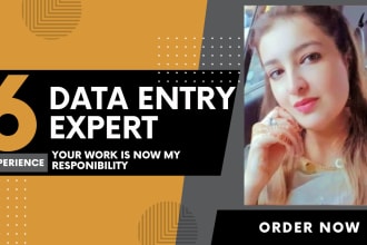 do any type of data entry excel work copy paste speedily