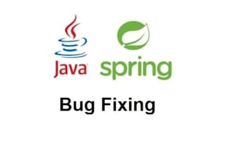resolve any spring boot issue