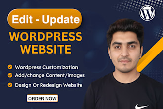 edit wordpress website, customization and update website
