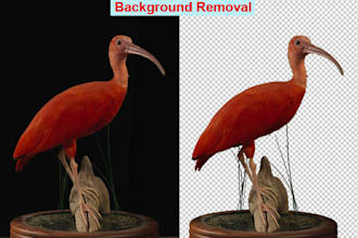 remove the background 20 images white  transparent superfast