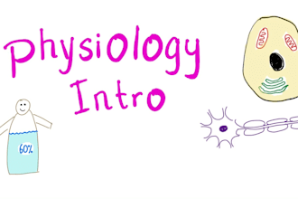 do anatomy physiology and neuroanatomy tasks