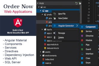 develop and maintain web app in angular web API sql server