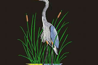 do embroidery digitizing  any formate