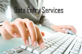 do any type of data entry creative dashboard, vlookup excel work in 24 hours