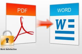 convert pdf to word and data entry work for you