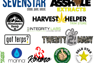 design a professional cannabis or cbd brand logo