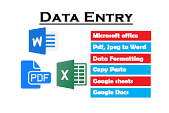 do microsoft word, excel, pdf data entry fast and accurately