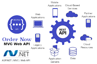 develop and maintain complex asp net mvc web api
