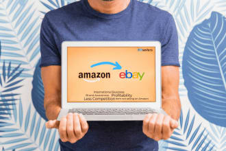 provide you services on ebay and amazon as a seller