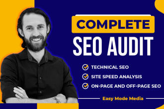 perform a professional technical SEO audit for your site