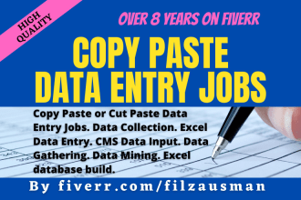 complete any type of copy paste or cut paste data entry jobs