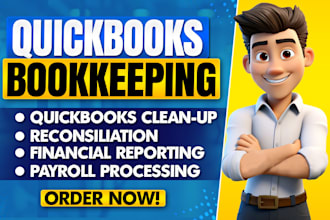 do setup, quickbooks online and xero bookkeeping, clean up, bank reconciliation