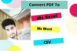 convert pdf to excel or word or csv