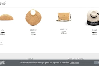 design and develop shop website using wordpress and woocomerce