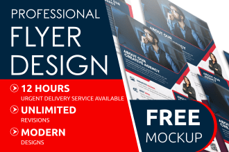 design a professional flyer, brochure or postcard in 12 hours