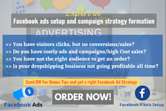 do facebook ads, copywriting, ad design and campaign management