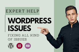 fix any wordpress bug or hack plus on page SEO audit