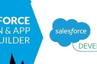 be your salesforce consultant, admin and developer