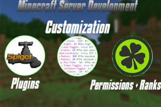 make you a minecraft server to your liking