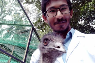 write veterinary articles and pet animal care blog