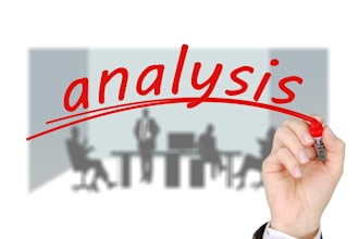 make income statement, balance sheet with analysis