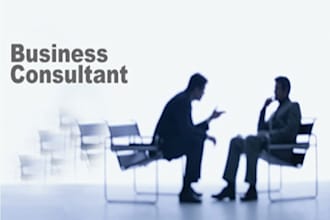 provide you with business consulting services