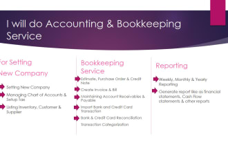 provide monthly and weekly accounting and bookkeeping services