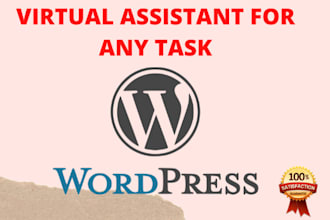 be your virtual assistant for any wordpress task