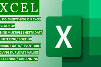 fulfill your vlookup and data entry needs quickly