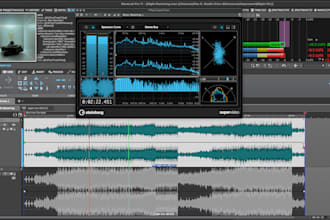 professionally master your song